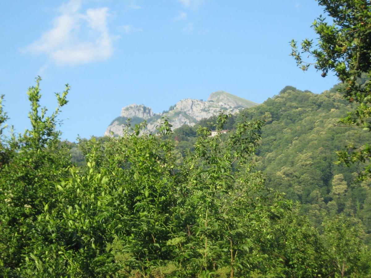 Vakantiehuis Casa Emilia Stazzema